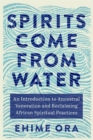 Spirits Come from Water : An Introduction to Ancestral Veneration and Reclaiming African Spiritual Practices - Book