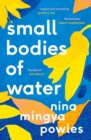 Small Bodies of Water - Book