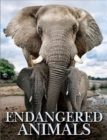 Endangered Animals - Book
