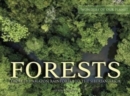 Forests : From the Amazon Rainforest to the Siberian Taiga - Book
