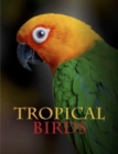 Tropical Birds - Book