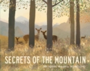 Secrets of the Mountain - Book
