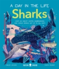 Sharks (A Day in the Life) : What Do Great Whites, Hammerheads, and Whale Sharks Get Up To All Day? - Book