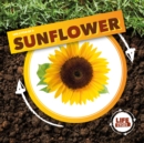 Life Cycle of a Sunflower - Book