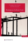 European Labour Law (2nd edition) - Book