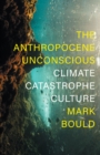The Anthropocene Unconscious : Climate Catastrophe in Contemporary Culture - eBook