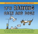 It's Raining Cats and Dogs : An Autism Spectrum Guide to the Confusing World of Idioms, Metaphors and Everyday Expressions - Book