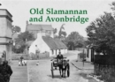 Old Slamannan and Avonbridge - Book