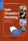Equine Orthopaedics and Rheumatology : Self-Assessment Color Review - eBook
