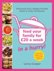 Feed Your Family For  20...In A Hurry! : Deliciously Easy, Budget-Friendly Meals in Under 20 Minutes - eBook