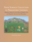 From Surface Collection to Prehistoric Lifeways : Making Sense of the Multi-Period Site of Orlovo, South East Bulgaria - eBook