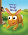 Googly Eyes: Goodnight, Benjy Bunny! - Book
