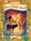 Storyteller Book: the Jungle Book - Book