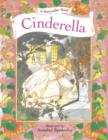 A Storyteller Book : Cinderella - Book