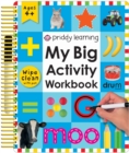 Wipe Clean My Big Activity Work Book - Book