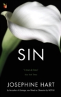 Sin : By the author of DAMAGE, inspiration for the Netflix series OBSESSION - Book