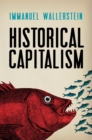 Historical Capitalism - eBook