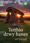Cyfres Amdani: Teithio drwy Hanes - Book