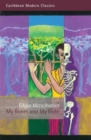 My Bones and My Flute : A Ghost Story in the Old-Fashioned Manner - eBook