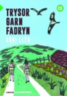 Cyfres Amdani: Trysor Garn Fadryn - eBook