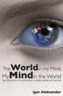 The World in My Mind, My Mind in the World - eBook