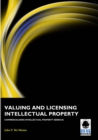 Valuing and Licensing Intellectual Property - eBook