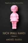 Such Small Hands - Book