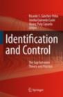 Identification and Control : The Gap between Theory and Practice - eBook