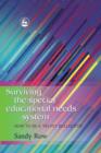 Surviving the Special Educational Needs System : How to be a 'Velvet Bulldozer' - eBook