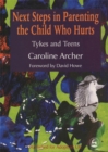 Next Steps in Parenting the Child Who Hurts : Tykes and Teens - eBook