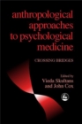 Anthropological Approaches to Psychological Medicine : Crossing Bridges - eBook