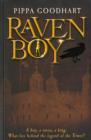 Raven Boy : A Tale of the Great Fire of London - Book
