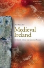 Medieval Ireland : Territorial, Political and Economic Divisions - Book