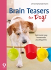 Brain Teasers for Dogs : Quick and easy homemade puzzle games - eBook