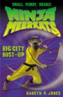 Big City Bust-up - Book