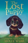 The Lost Puppy - eBook