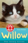 Willow the lonely kitten - eBook