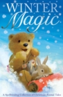 Winter Magic - eBook