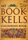 My Book of Kells Colouring Book - Book