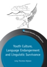 Youth Culture, Language Endangerment and Linguistic Survivance - eBook