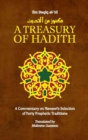 A Treasury of Hadith : A Commentary on Nawawi's Selection of Prophetic Traditions - eBook