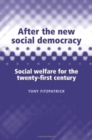 After the new social democracy - eBook