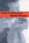 Profiles in Contemporary Social Theory - eBook