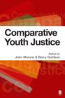 Comparative Youth Justice - eBook