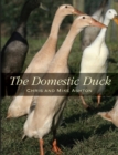 Domestic Duck - eBook