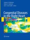 Congenital Diseases in the Right Heart - eBook