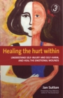 Healing the Hurt Within 3rd Edition : Understand self-injury and self-harm, and heal the emotional wounds - eBook
