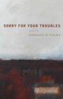 Sorry For Your Troubles - eBook