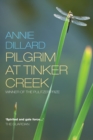 Pilgrim at Tinker Creek - eBook