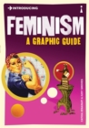 Introducing Feminism : A Graphic Guide - Book
